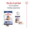 Maxi Ageing Dog 8+