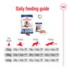 Maxi Ageing Dog 8+