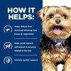 Prescription Diet Canine l/d