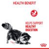 Digestive Care Cat Gravy
