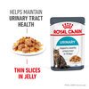 Urinary Care Cat Jelly Pouches