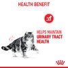 Urinary Care Cat Jelly Pouches