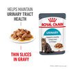 Urinary Care Cat Gravy