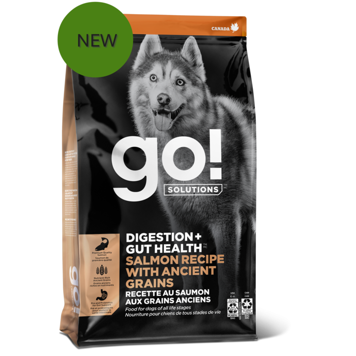 GO! SOLUTIONS Digestion + Gut Health Salmon Recipe with Ancient Grains for dogs