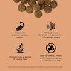 GO! SOLUTIONS Digestion + Gut Health Salmon Recipe with Ancient Grains for dogs