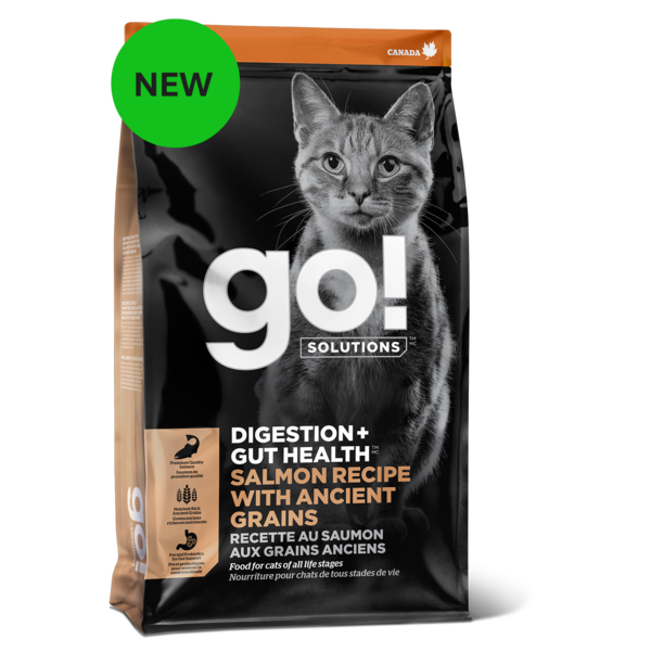 GO! SOLUTIONS Digestion + Gut Health Salmon Recipe with Ancient Grains for cats