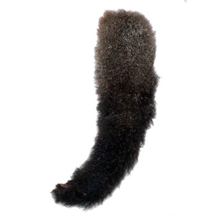 Possum Tail