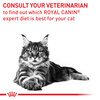 Feline Neutered Balance