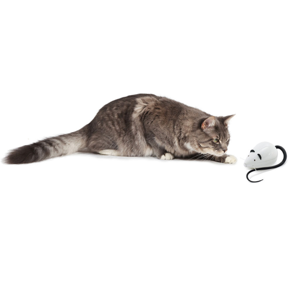 FroliCat ROLORAT Automatic Cat Teaser