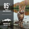 Orijen Six Fish Cat