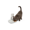 Petsafe Eatwell 2 Meal Feeder