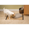 Petsafe Eatwell 5 Meal Feeder