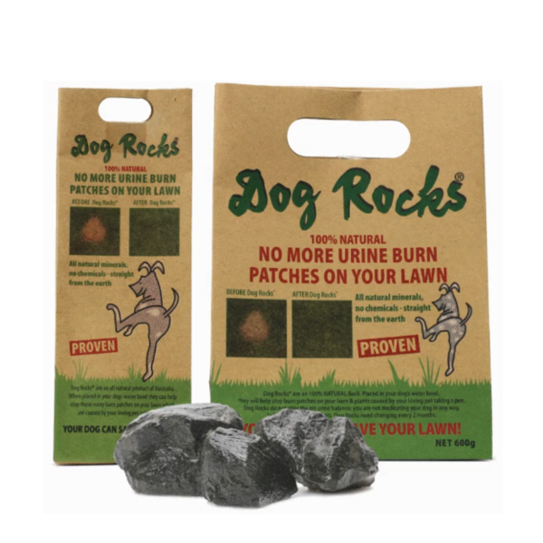 Dog Rocks