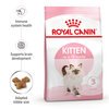Kitten Dry Food