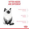 Kitten Dry Food
