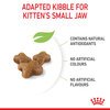 Kitten Dry Food