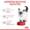 Kitten Dry Food