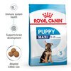 Maxi Puppy Food