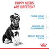 Maxi Puppy Food