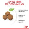 Maxi Puppy Food