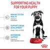 Maxi Puppy Food