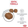 Dental Care Dry Cat Food