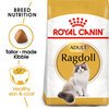 Ragdoll Cat Food