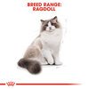 Ragdoll Cat Food