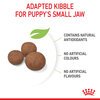 Medium Puppy Food