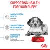 Medium Puppy Food