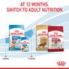 Medium Puppy Food