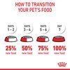 Medium Puppy Food