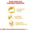 Persian Cat Food