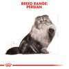 Persian Cat Food