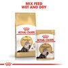 Persian Cat Food