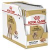 Adult Poodle Wet Dog Food