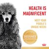 Adult Poodle Wet Dog Food