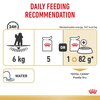 Adult Poodle Wet Dog Food