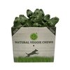 Hypoallergenic Dental Crocodile - Medium