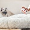 Catcomfort Spray