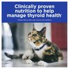 Prescription Diet Feline y/d