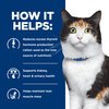 Prescription Diet Feline y/d