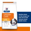 Prescription Diet Canine c/d Multicare 