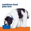 Prescription Diet Canine c/d Multicare Cans
