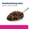 Prescription Diet Canine Gastrointestinal Biome Cans