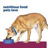 Prescription Diet Canine i/d Digestive Care Cans