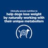 Prescription Diet Canine Metabolic Canned