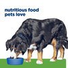 Prescription Diet Canine Metabolic & Mobility