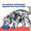 Prescription Diet Canine ONC Care Cans