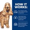 Prescription Diet Canine z/d Cans